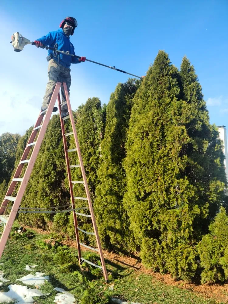 Reliable outdoor landscaping near you across Freehold, NJ - Eagle Tree Service