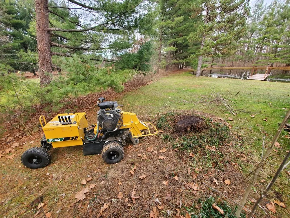 Trusted lawn care service in Brunswick, OH - Eagle Valley Stump Removal & Land Care