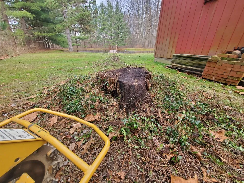 Local landscaping services experts serving Brunswick, OH - Eagle Valley Stump Removal & Land Care