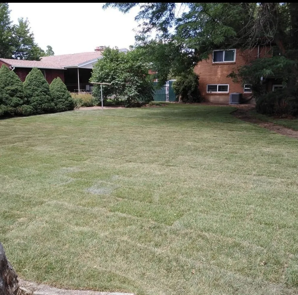 Trusted residential landscaping for beautiful yards in West Valley City, UT by Eagle