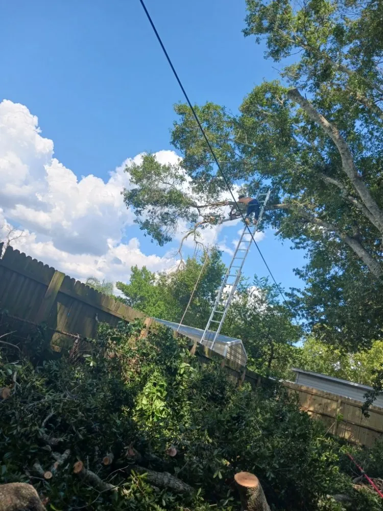 Reliable residential landscaping experts serving Spring Hill, FL - EaglEeyes tree services