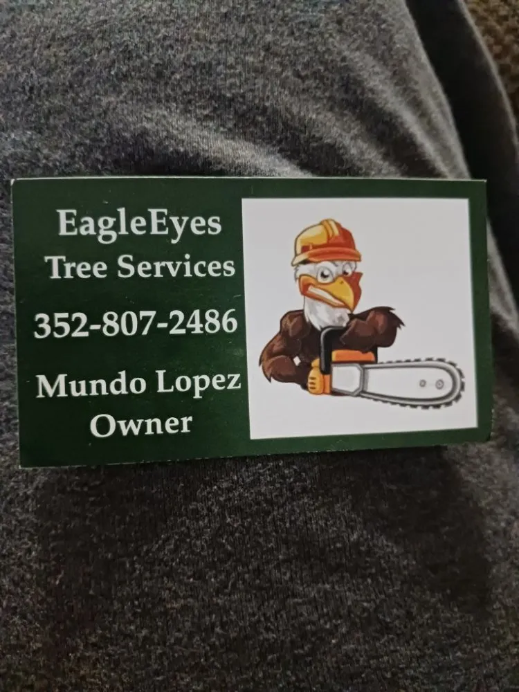 Expert landscaping services in Spring Hill, FL - EaglEeyes tree services