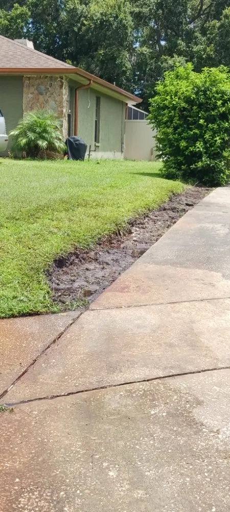 Reliable landscape design for outdoor upgrades across Spring Hill, FL - EaglEeyes tree services