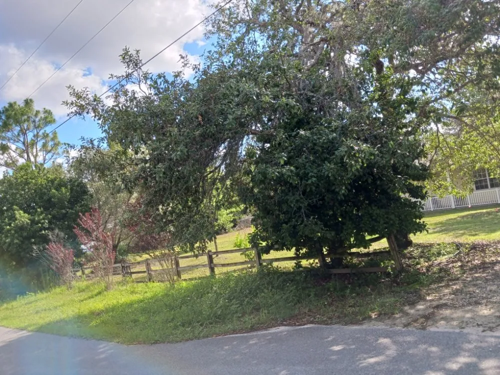 Trusted landscaping services in Spring Hill, FL by EaglEeyes tree services