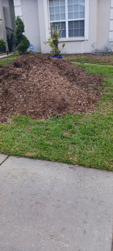 Top-rated landscape design in Spring Hill, FL by EaglEeyes tree services