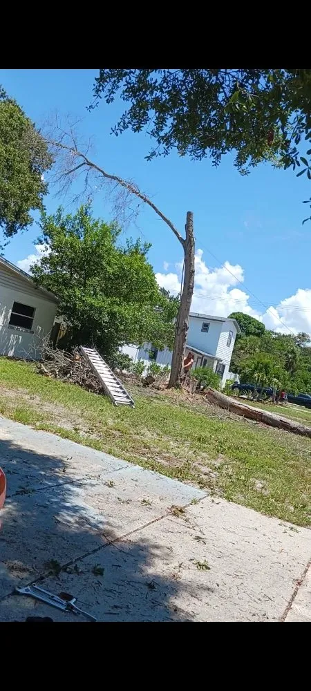 Custom yard cleanup service in Spring Hill, FL - EaglEeyes tree services