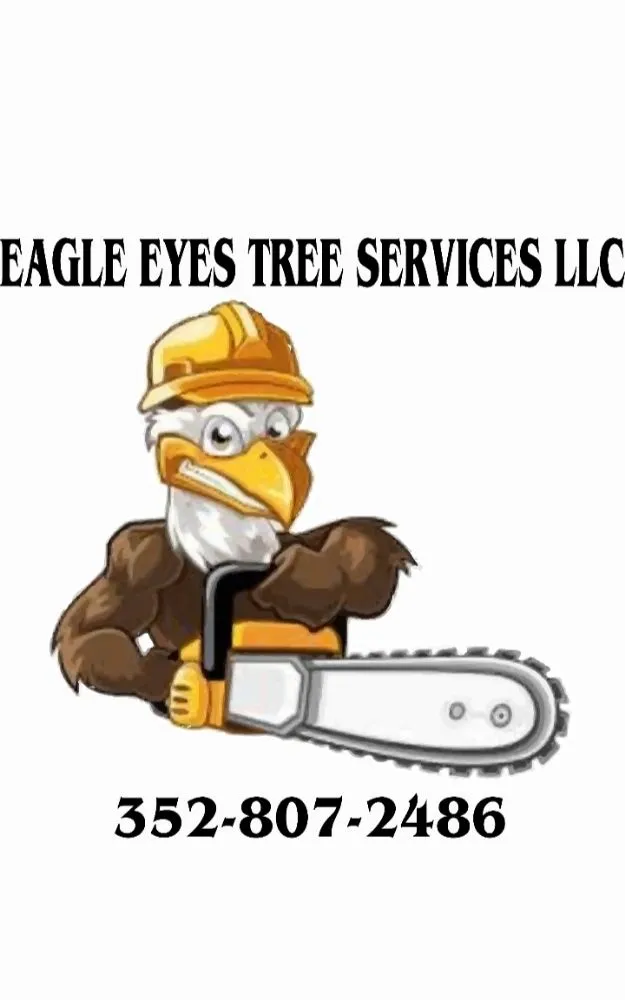 Top-rated lawn mowing service in Spring Hill, FL by EaglEeyes tree services