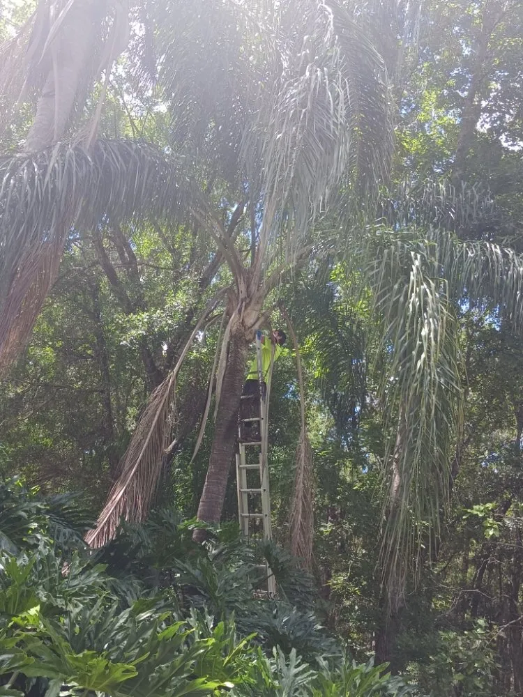 Custom garden landscaping near you across Spring Hill, FL - EaglEeyes tree services