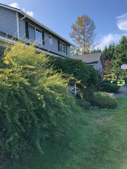 Professional landscaping services for beautiful yards across Arlington, WA - Eagles Landscaping