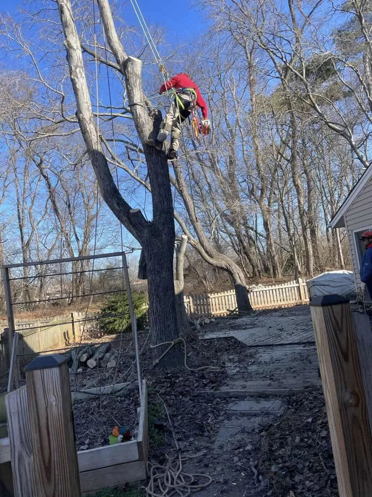 Top-rated residential landscaping in Manassas Park, VA by Eagles Landscaping