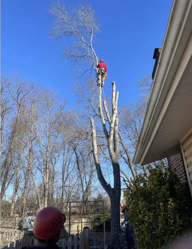 Professional landscape design experts serving Manassas Park, VA - Eagles Landscaping