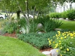 Expert landscape design for outdoor upgrades across Manassas Park, VA - Eagles Landscaping