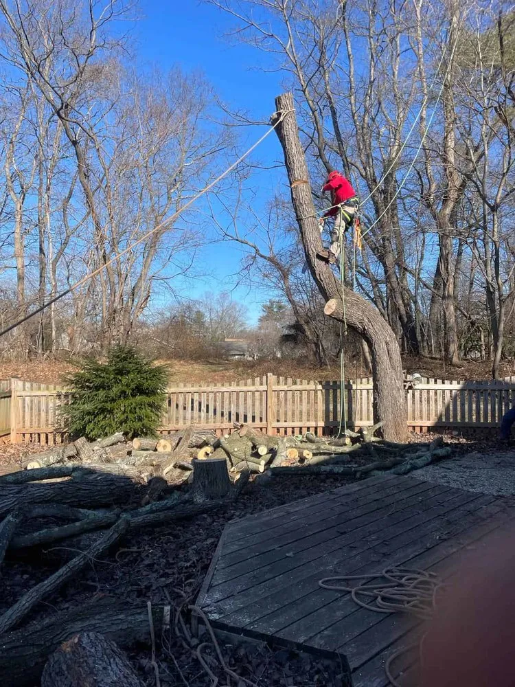 Custom yard maintenance in Manassas Park, VA - Eagles Landscaping