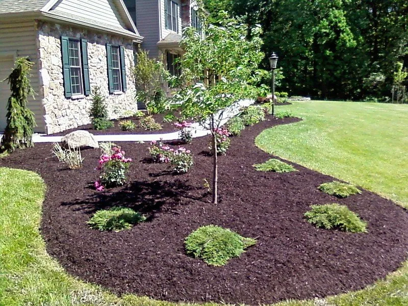 Custom landscaping services for beautiful yards across Manassas Park, VA - Eagles Landscaping