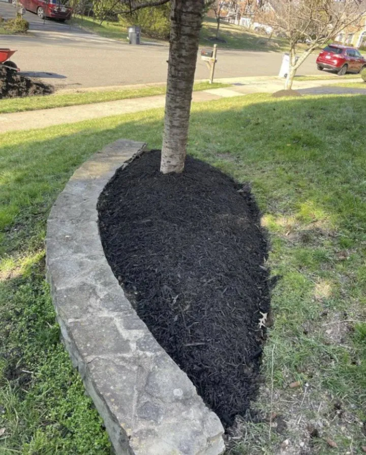 Local yard cleanup service for residential properties across Manassas Park, VA - Eagles Landscaping