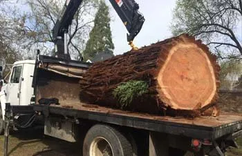 Custom lawn care service experts serving Manassas Park, VA - Eagles Landscaping