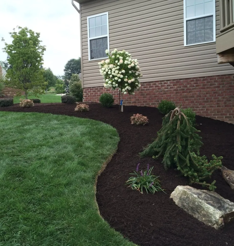 Expert yard maintenance in Manassas Park, VA by Eagles Landscaping