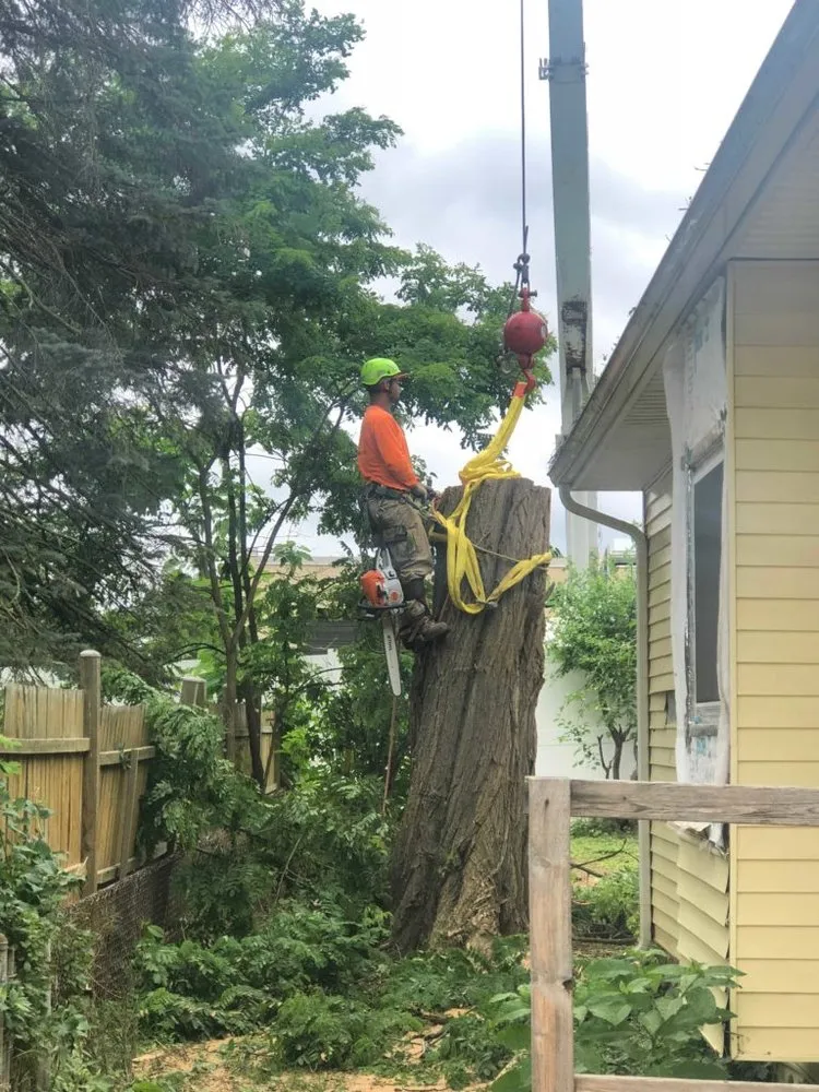 Local garden landscaping experts serving Manassas Park, VA - Eagles Landscaping