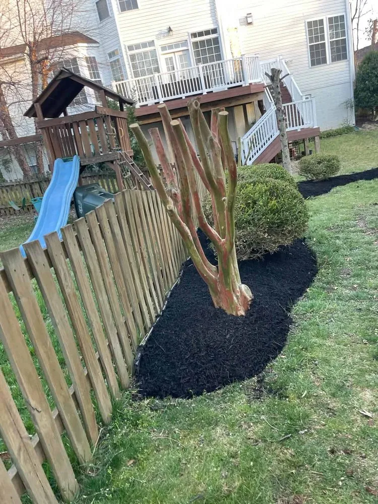 Professional landscaping services for beautiful yards in Manassas Park, VA by Eagles Landscaping