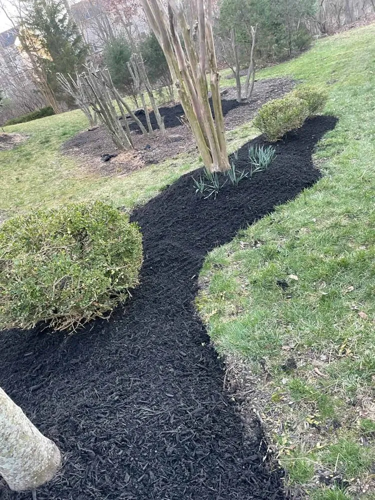 Local garden landscaping experts serving Manassas Park, VA - Eagles Landscaping