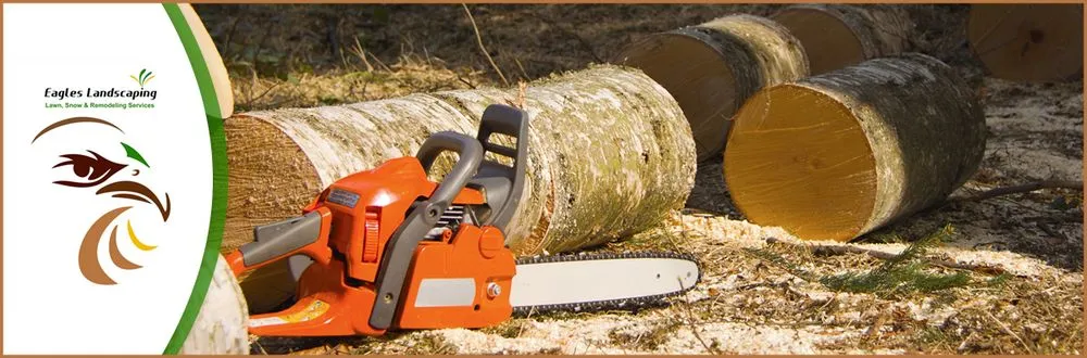 Expert lawn care service experts serving Manassas Park, VA - Eagles Landscaping