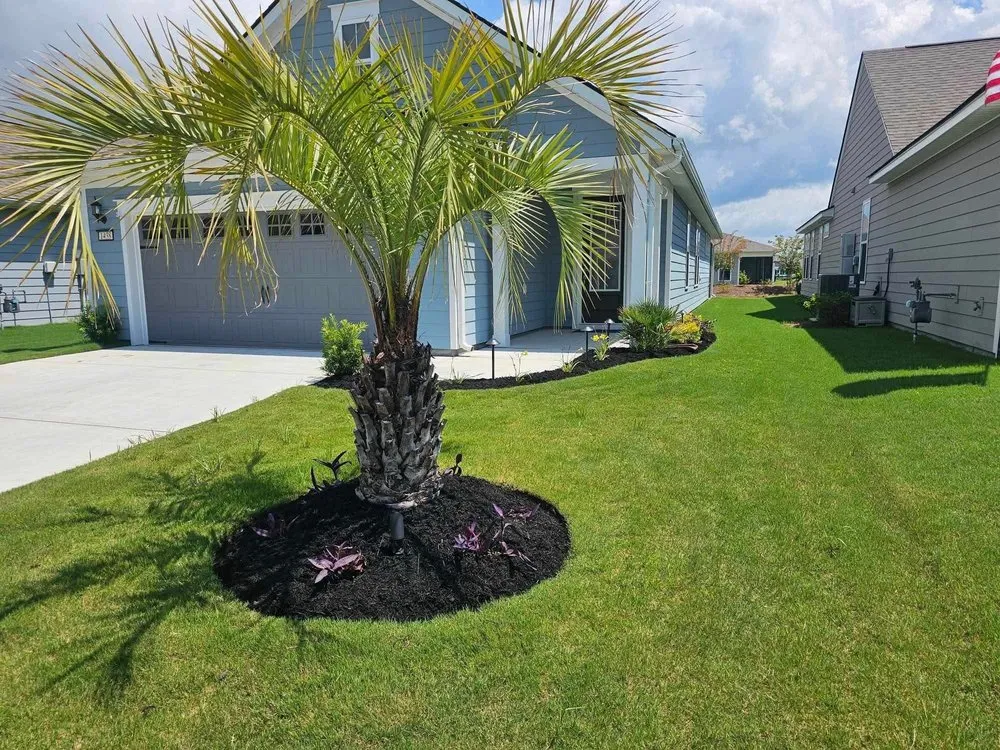 Affordable lawn care service experts serving North Myrtle Beach, SC - Eagles Landscaping