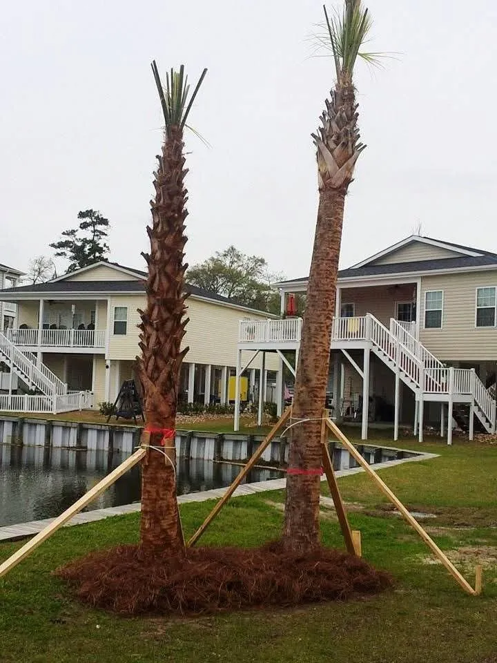 Local landscape installation for beautiful yards in North Myrtle Beach, SC by Eagles Landscaping