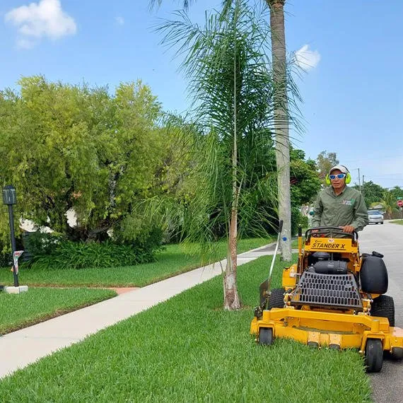 Reliable landscape design for homes across Miami, FL - Eagle's Paradise Landscaping