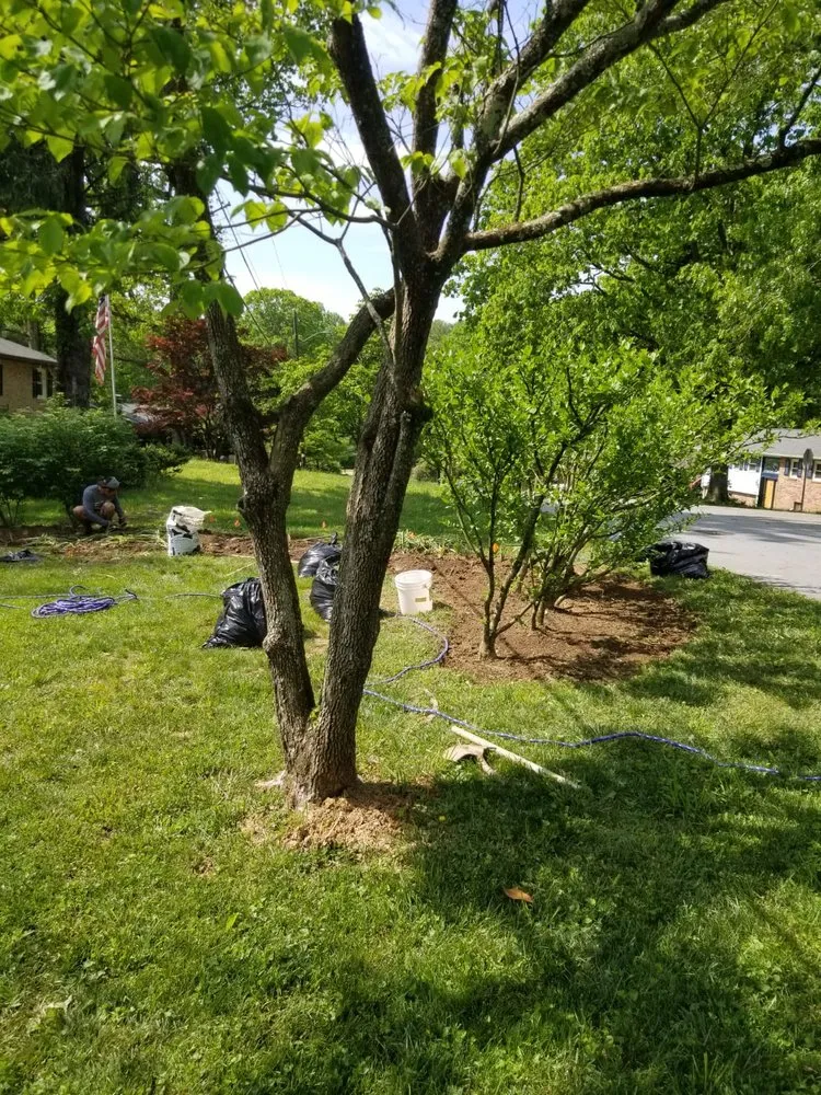 Affordable yard cleanup service near you in Asheville, NC by Eagles Pro Landscaping & More