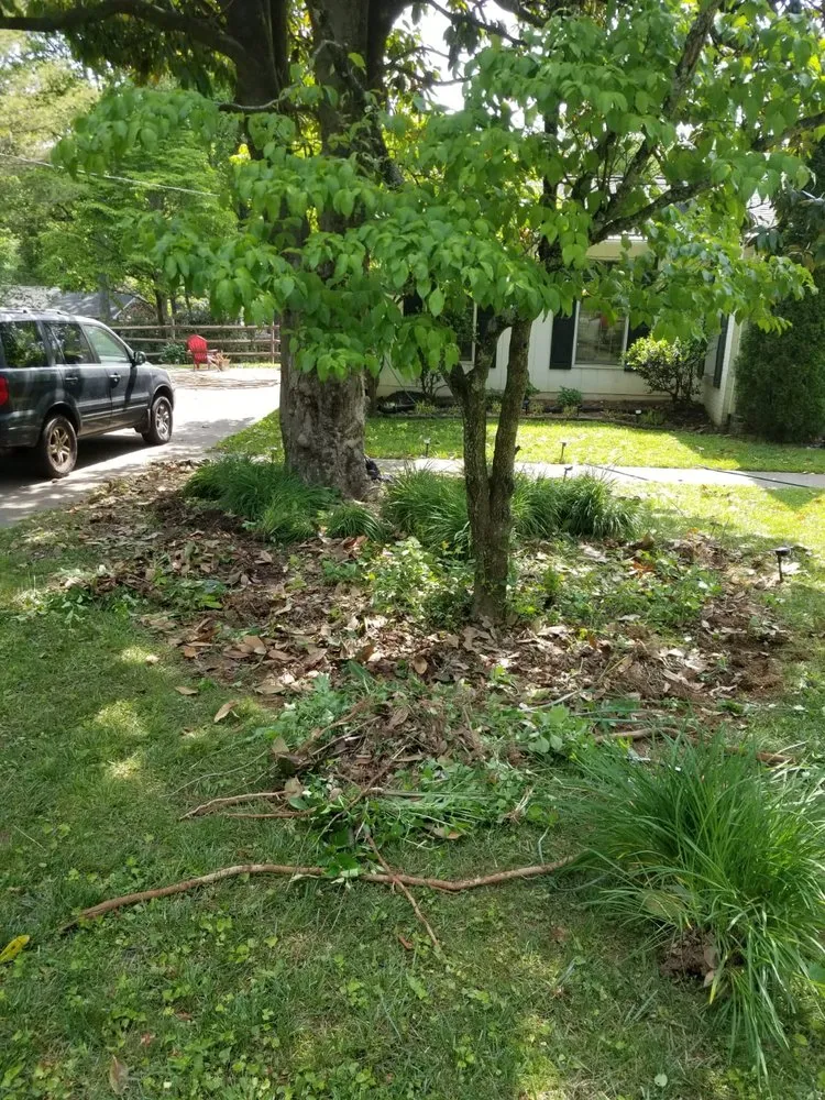 Custom landscape installation in Asheville, NC by Eagles Pro Landscaping & More