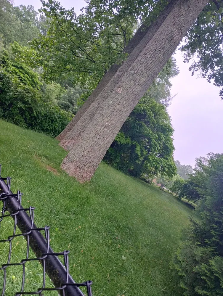 Affordable residential landscaping in Asheville, NC - Eagles Pro Landscaping & More