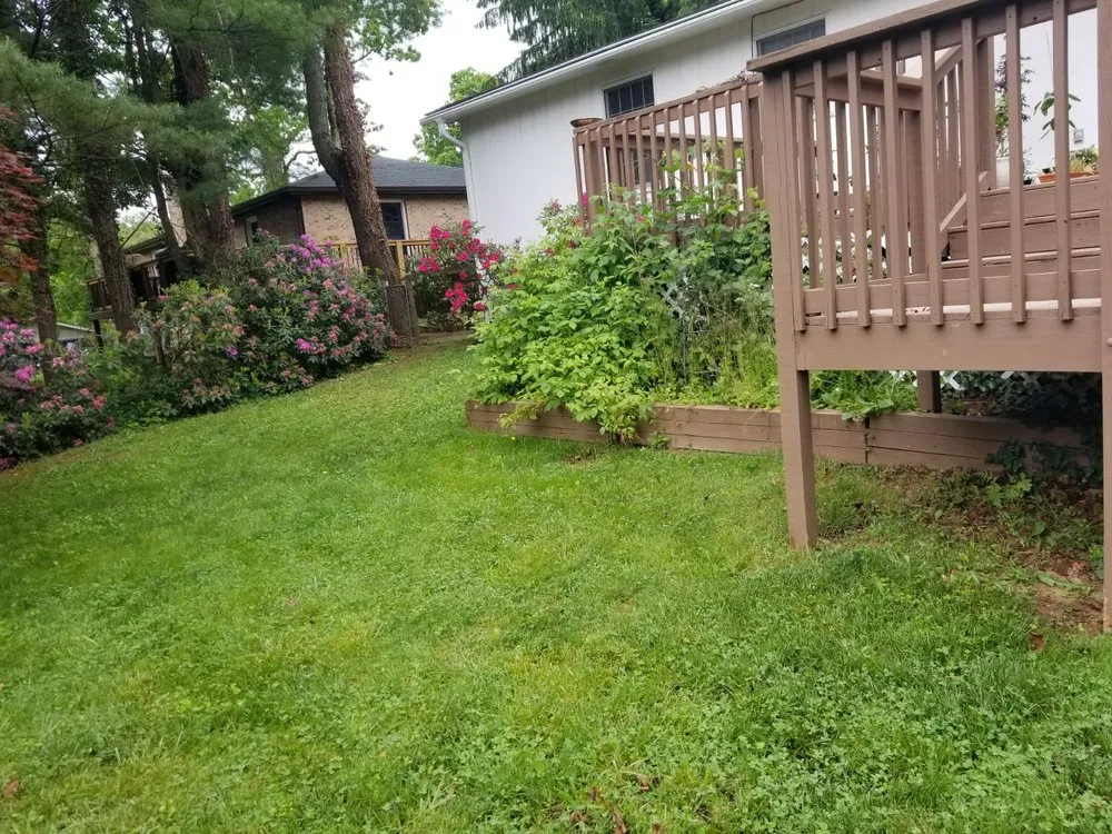 Affordable garden landscaping with custom design across Asheville, NC - Eagles Pro Landscaping & More