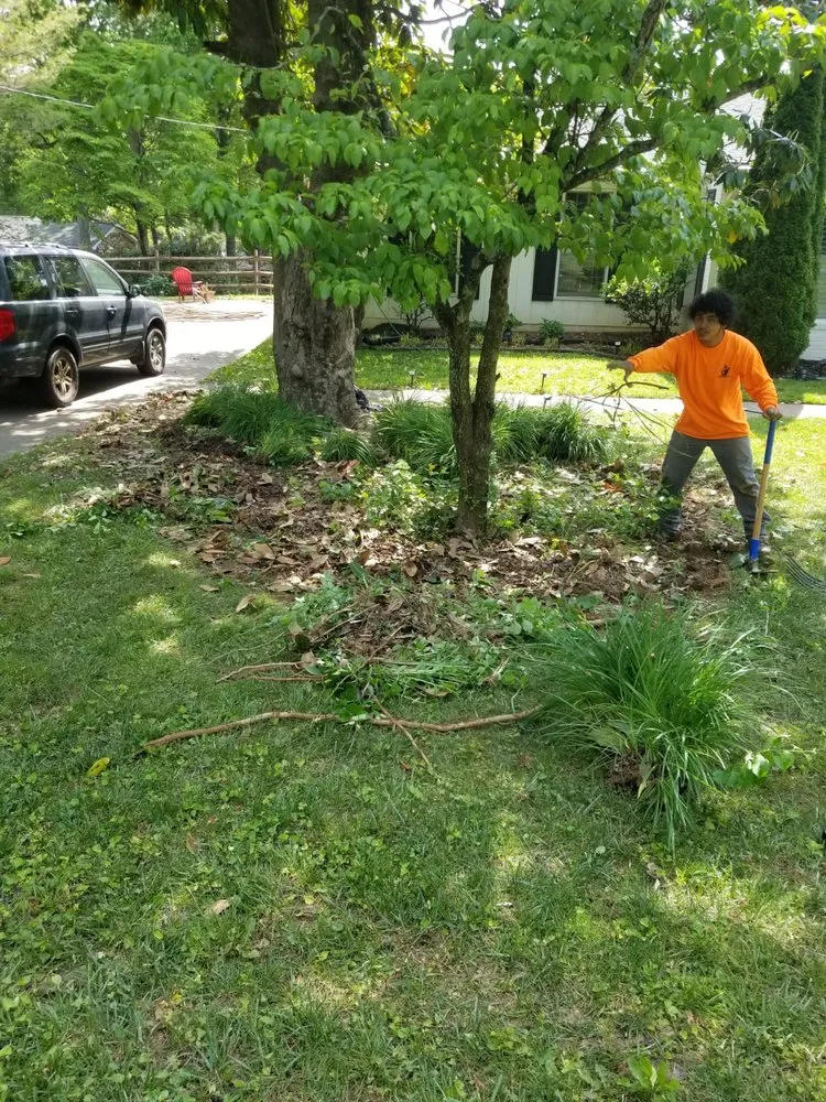 Professional yard maintenance experts serving Asheville, NC - Eagles Pro Landscaping & More
