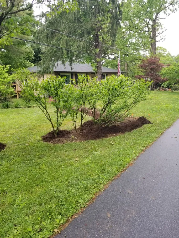 Local residential landscaping with custom design in Asheville, NC by Eagles Pro Landscaping & More