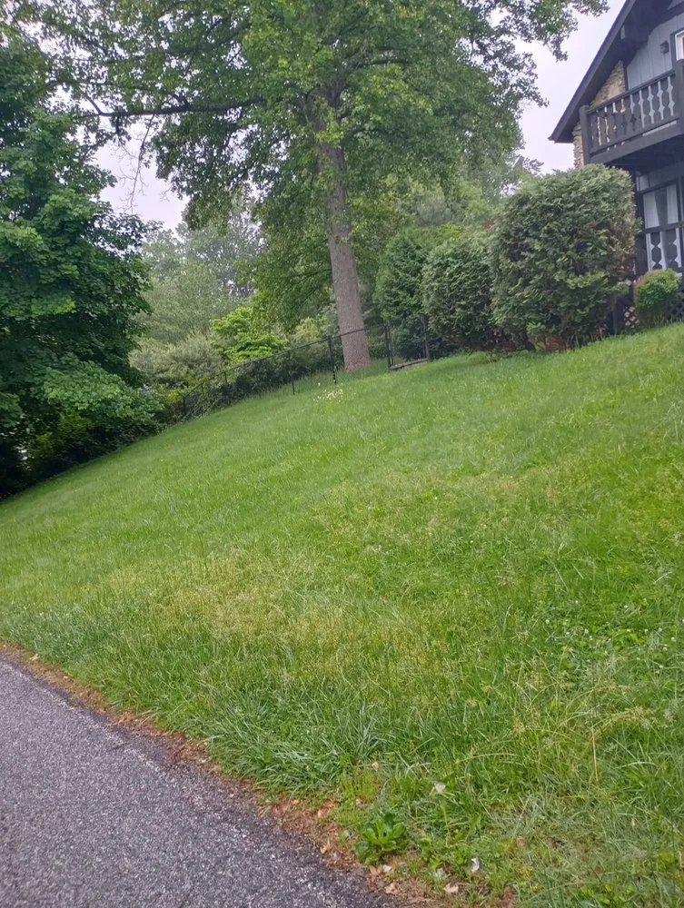 Reliable garden landscaping experts serving Asheville, NC - Eagles Pro Landscaping & More