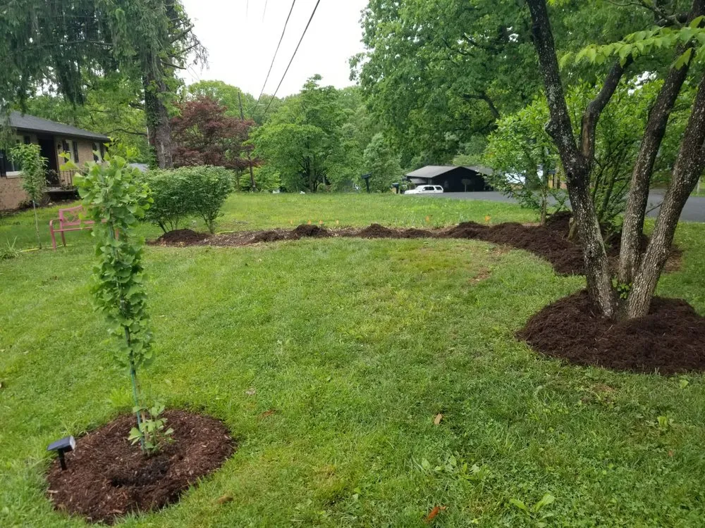 Top-rated landscaping services for homes in Asheville, NC by Eagles Pro Landscaping & More