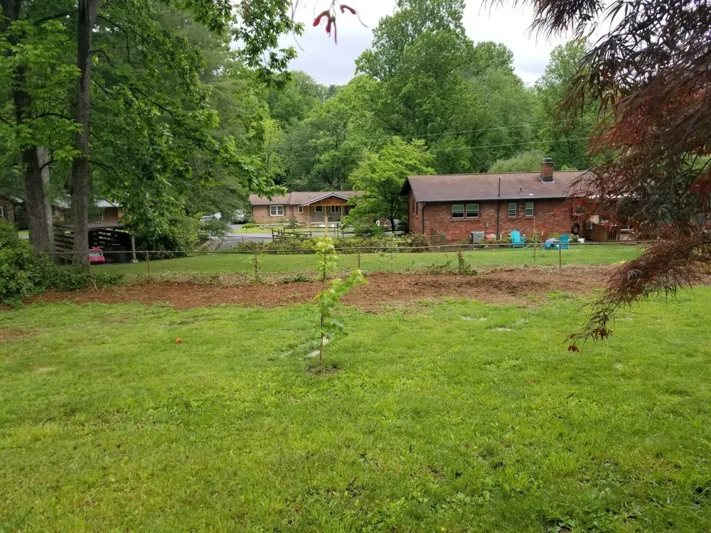 Local yard cleanup service in Asheville, NC - Eagles Pro Landscaping & More