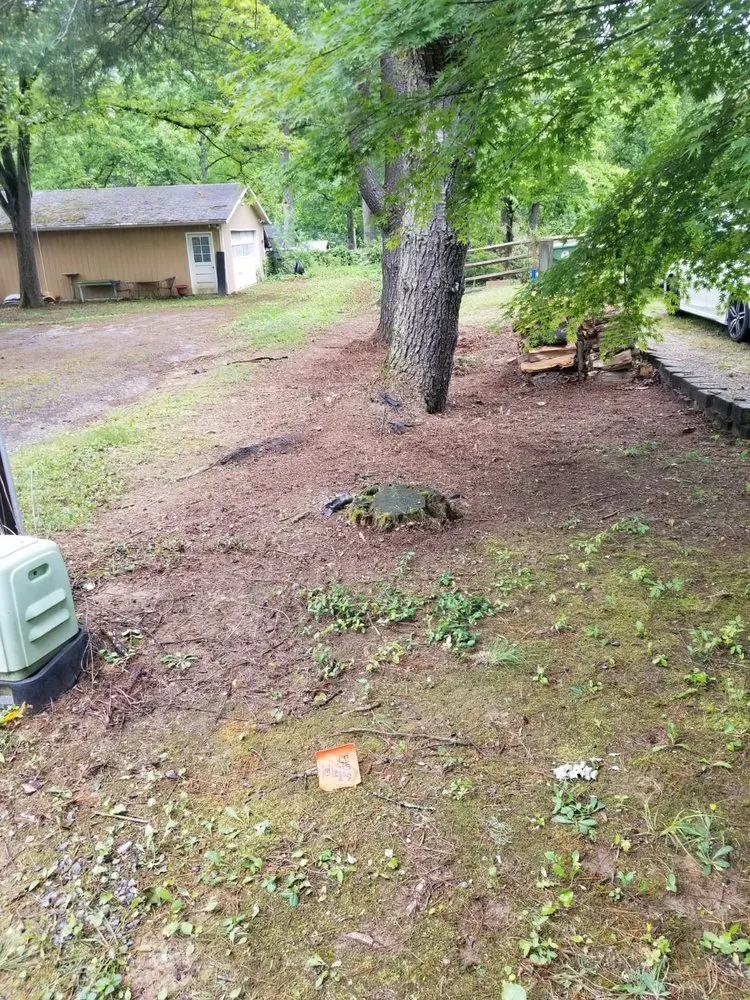 Affordable yard maintenance in Asheville, NC by Eagles Pro Landscaping & More