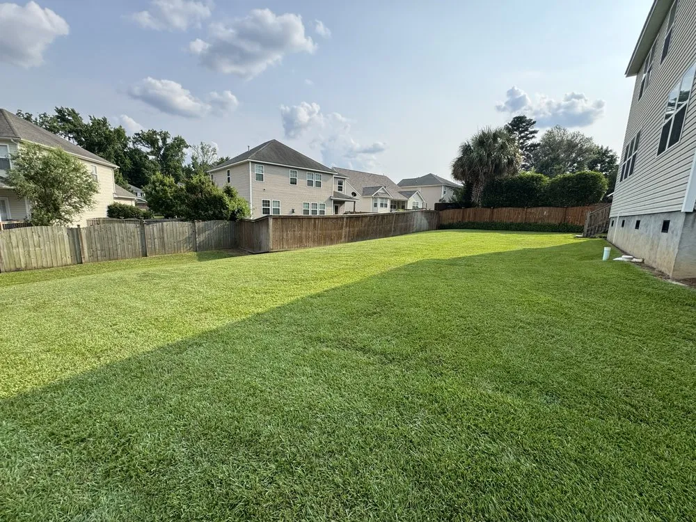 Top-rated landscaping services experts serving Lexington, SC - Eagles Vantage