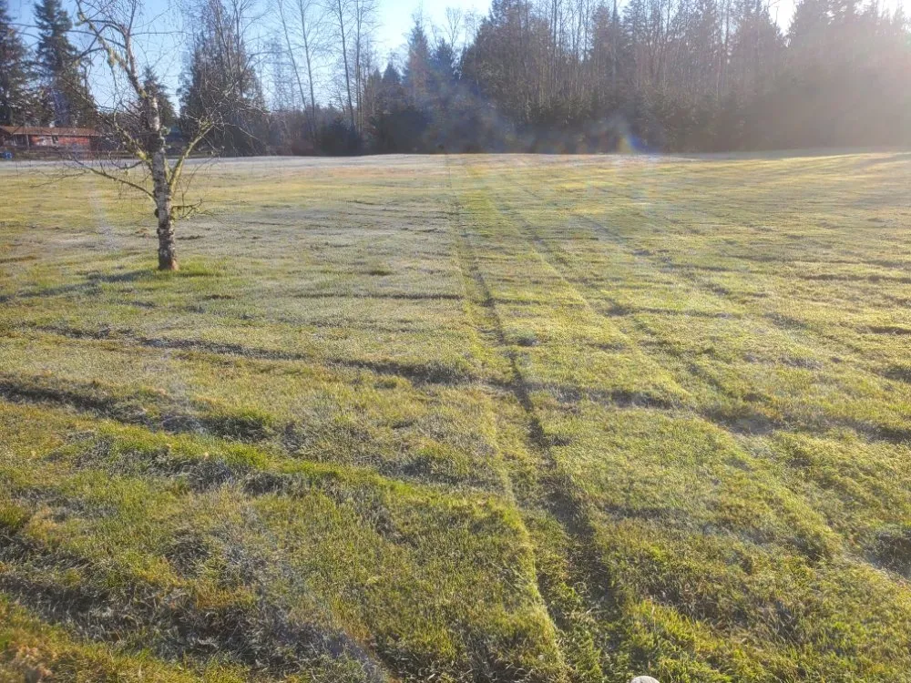 Reliable lawn mowing service in Everett, WA by Eagles Wings Mowing And Maintenance