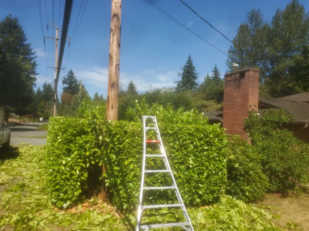 Trusted landscaping services for residential properties in Everett, WA by Eagles Wings Mowing And Maintenance