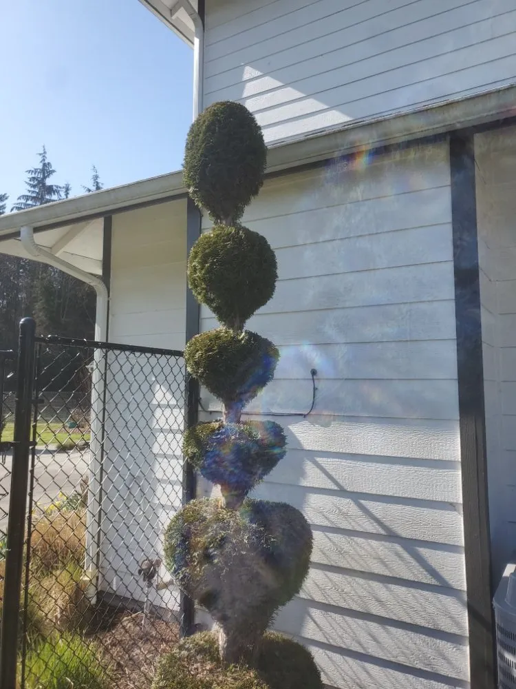 Custom lawn mowing service experts serving Everett, WA - Eagles Wings Mowing And Maintenance