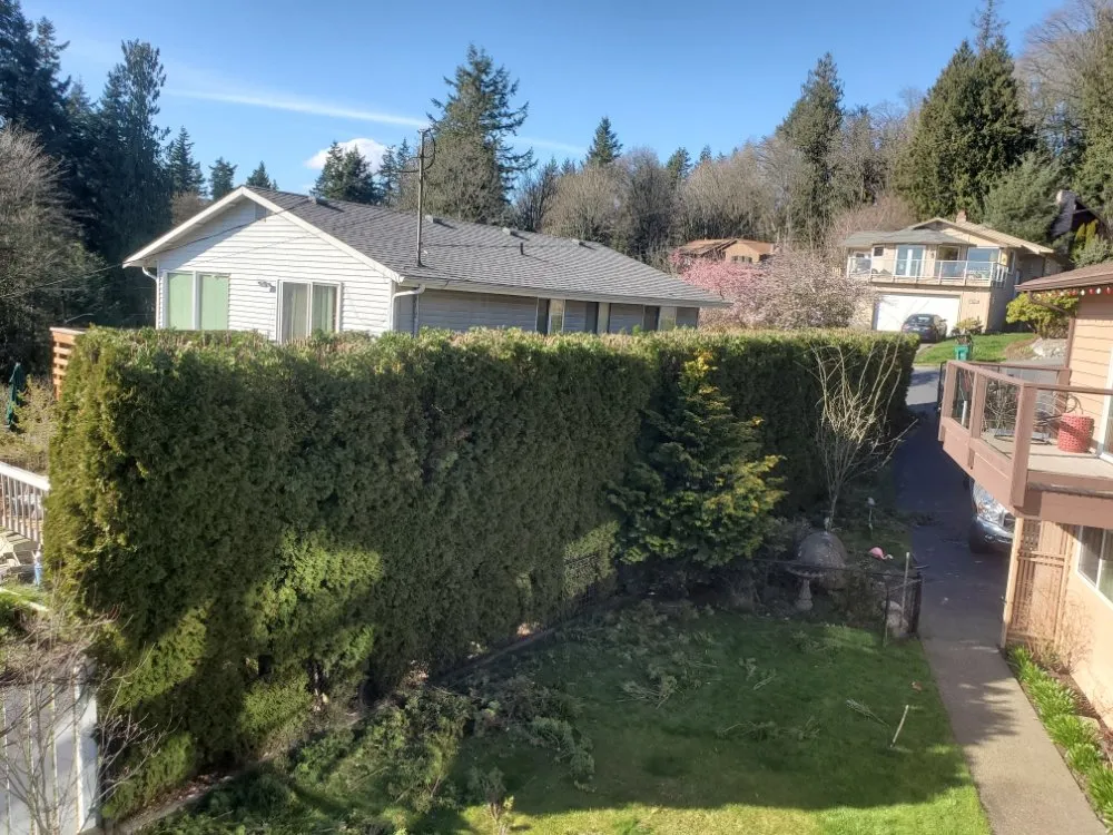 Top-rated outdoor landscaping experts serving Everett, WA - Eagles Wings Mowing And Maintenance