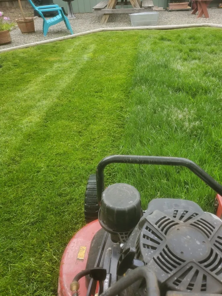 Reliable lawn care service experts serving Everett, WA - Eagles Wings Mowing And Maintenance