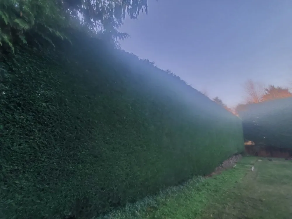 Custom outdoor landscaping experts serving Everett, WA - Eagles Wings Mowing And Maintenance