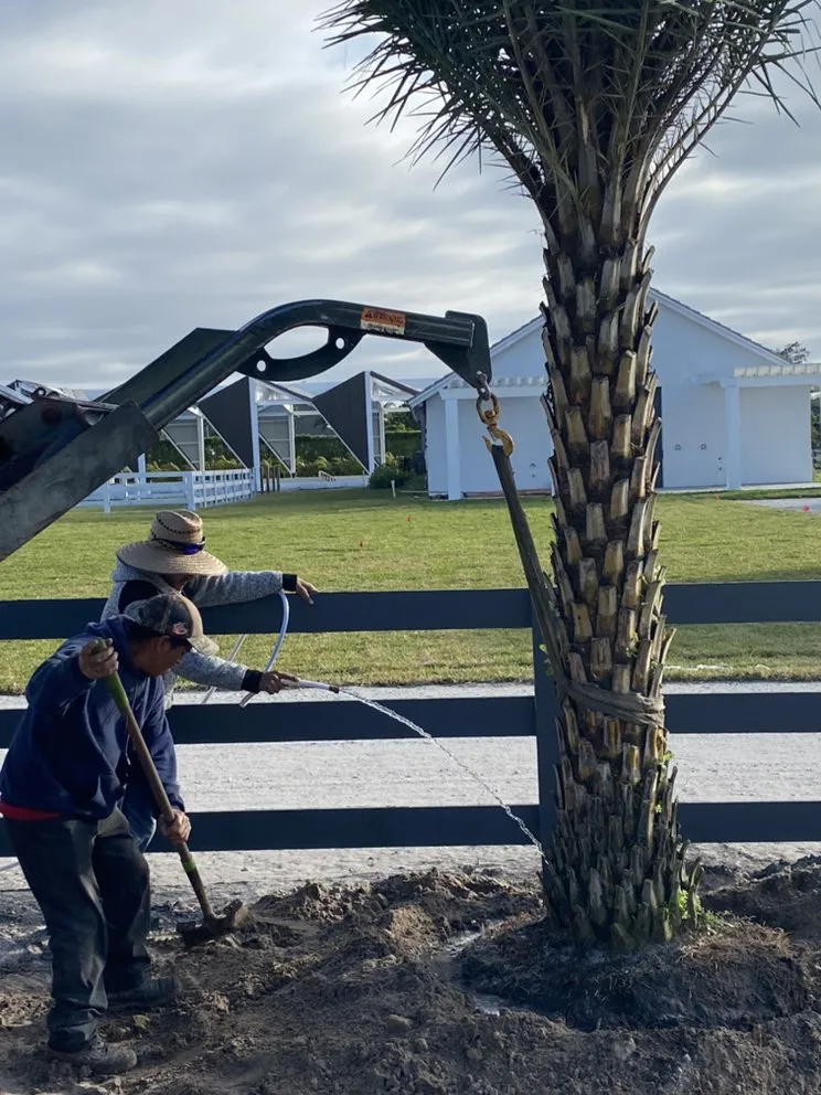 Top-rated landscape installation for homes in Lake Worth, FL by Eaglescape Services