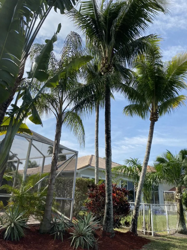 Trusted outdoor landscaping experts serving Lake Worth, FL - Eaglescape Services