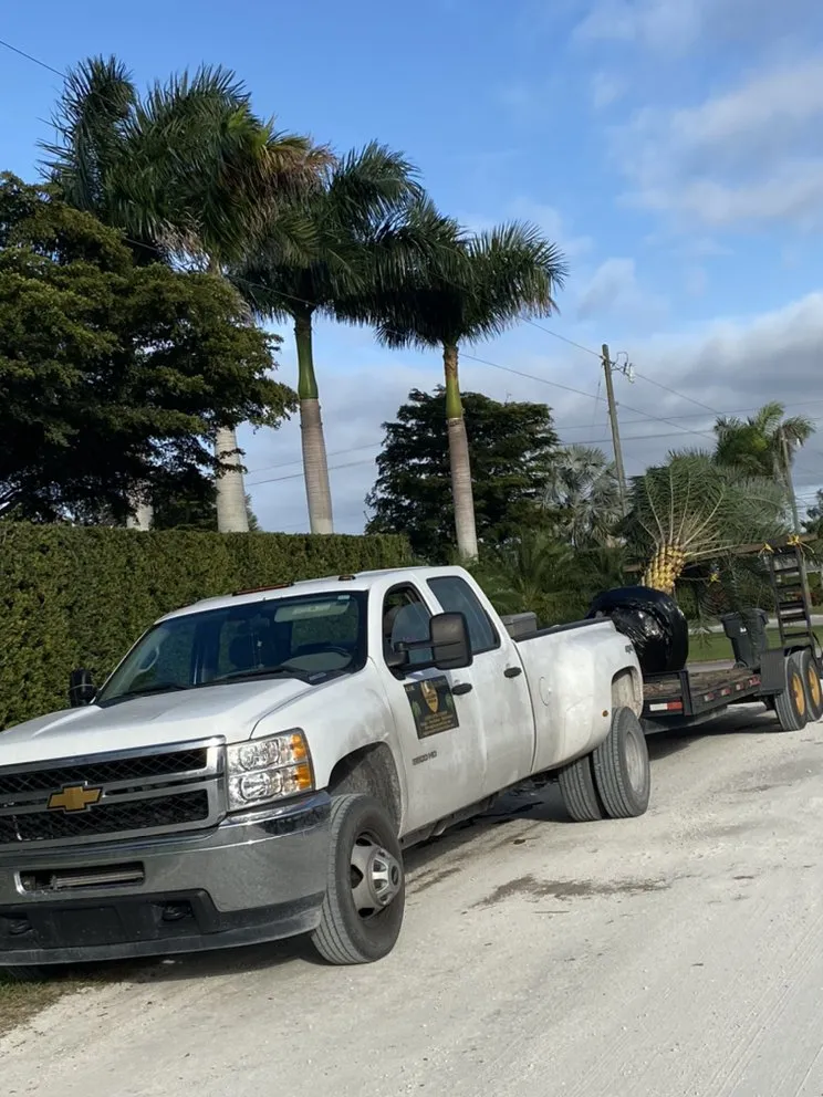 Affordable yard cleanup service in Lake Worth, FL by Eaglescape Services