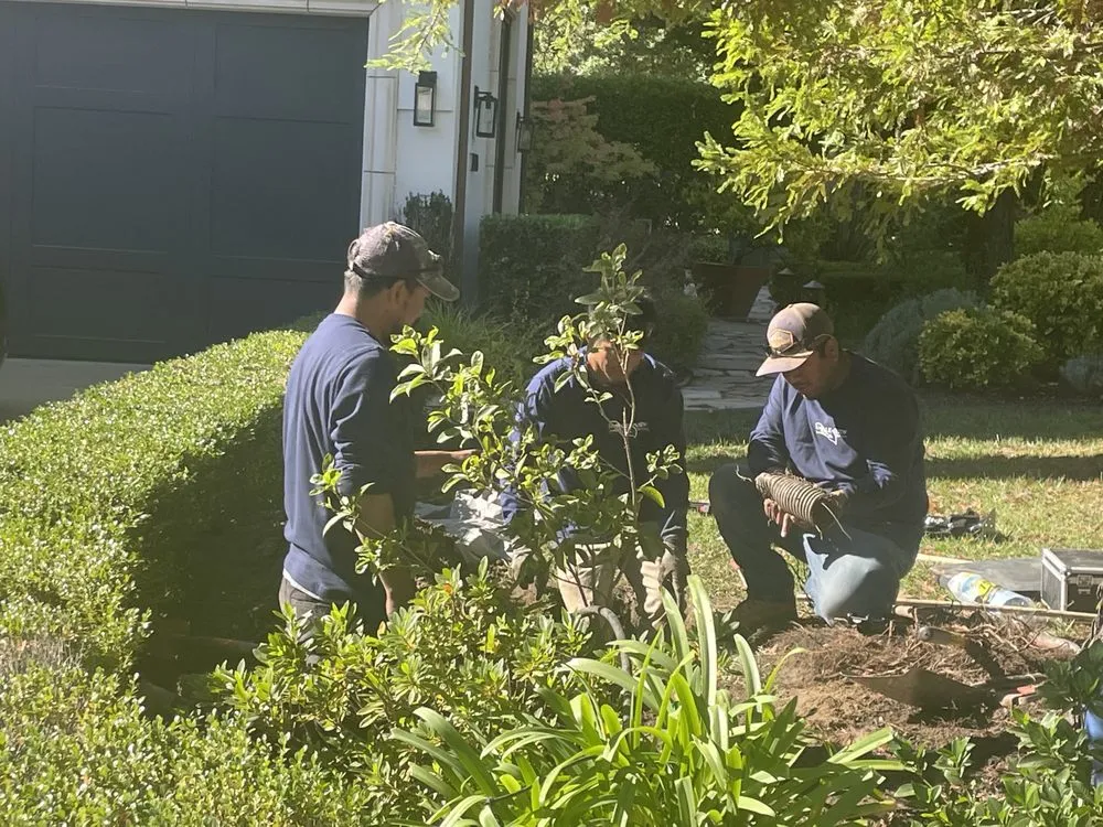 Top-rated outdoor landscaping experts serving Sacramento, CA - Eagleview Landscaping