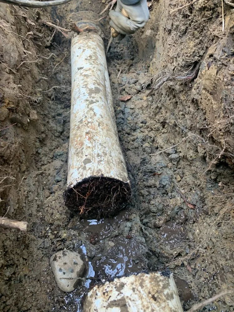 Trusted yard cleanup service near you in Sacramento, CA by Eagleview Landscaping